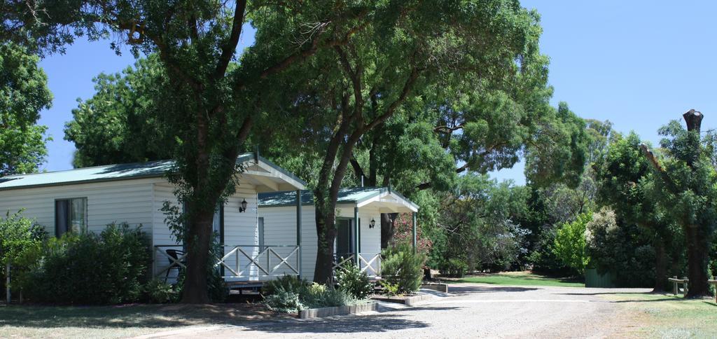 Big4 Wangaratta North Cedars Holiday Park Kamer foto